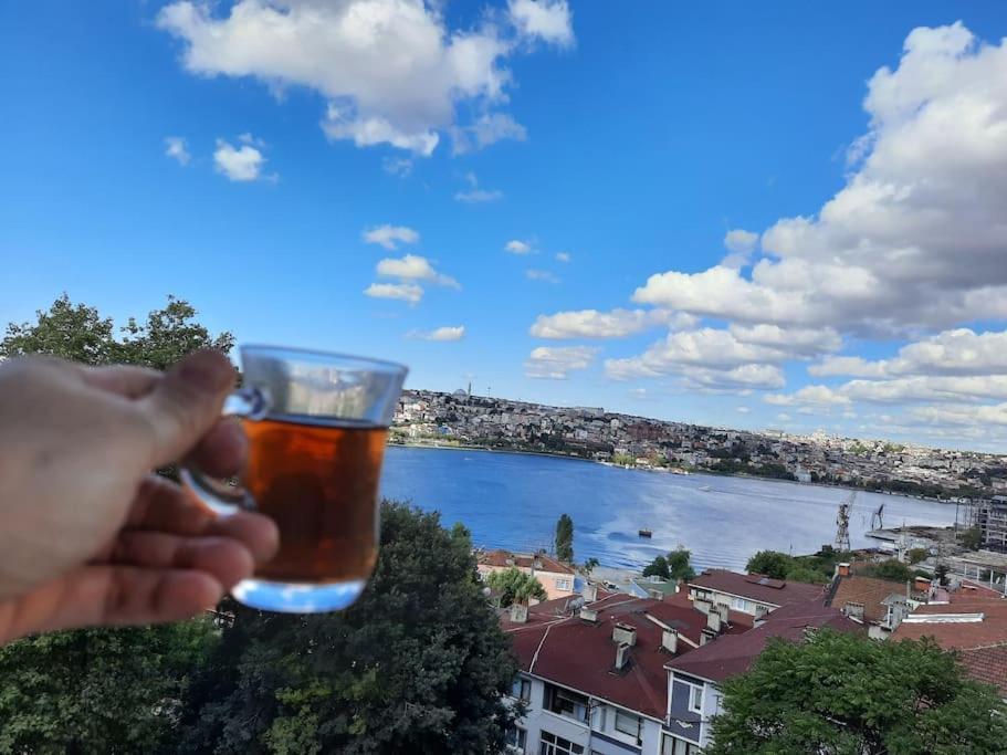 Deniz Manzarasi, Marti Sesleri Esliginde *