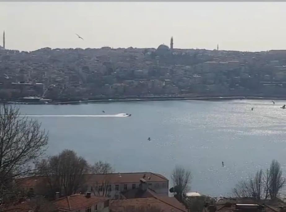 Deniz Manzarasi, Marti Sesleri Esliginde * Provincia di Istanbul