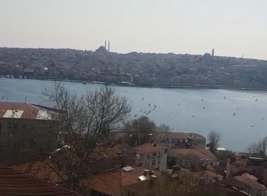 Deniz Manzarasi, Marti Sesleri Esliginde Appartamento *
